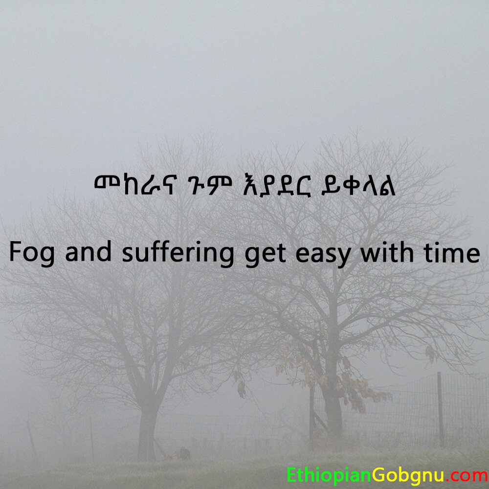 African proverb: Ethiopian quote