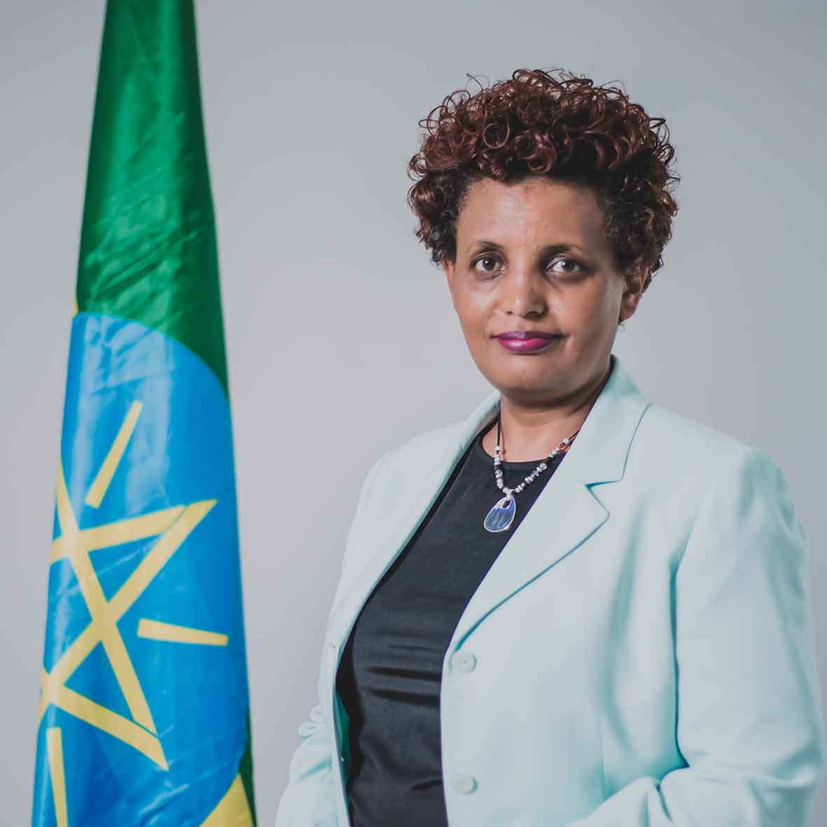 Birtukan Mideksa!