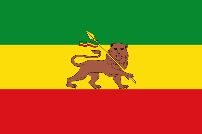 The Modified Lion of Judah Flag!