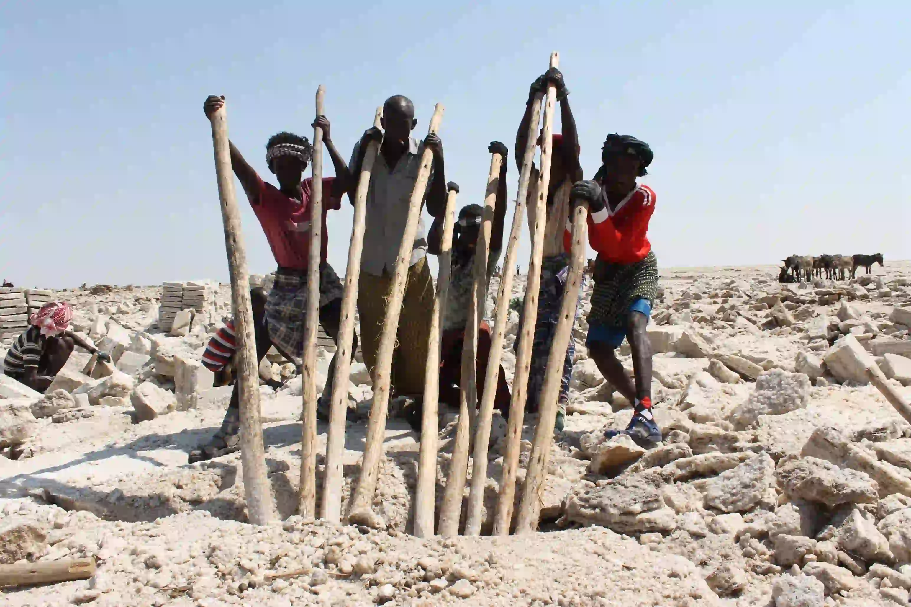 Danakil Depression, Salt Mining!
