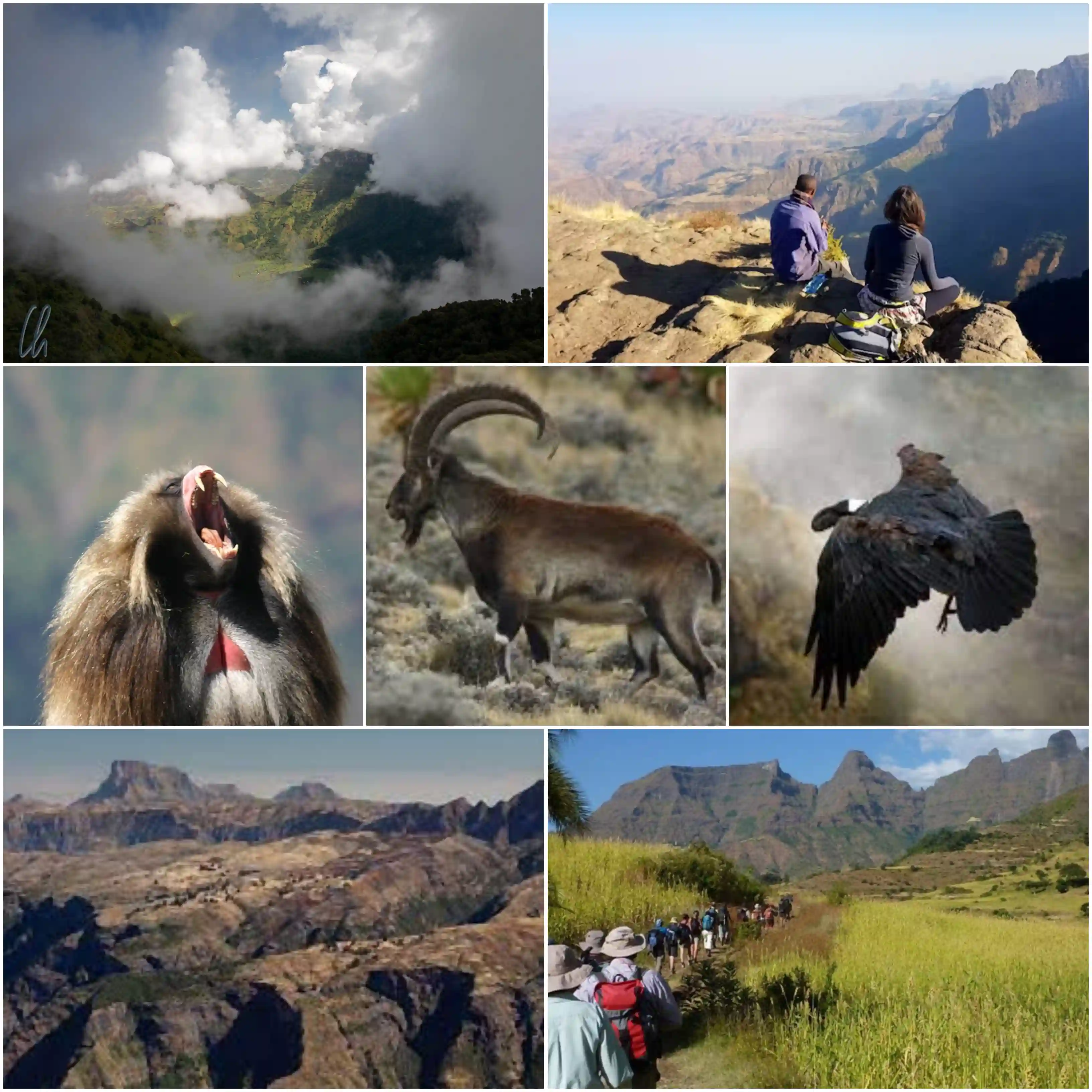 Simien Mountains National Park - Ethiopi