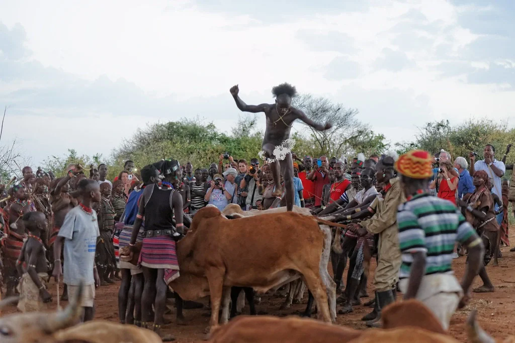 Bull Jumping: Ethiopian Culture!