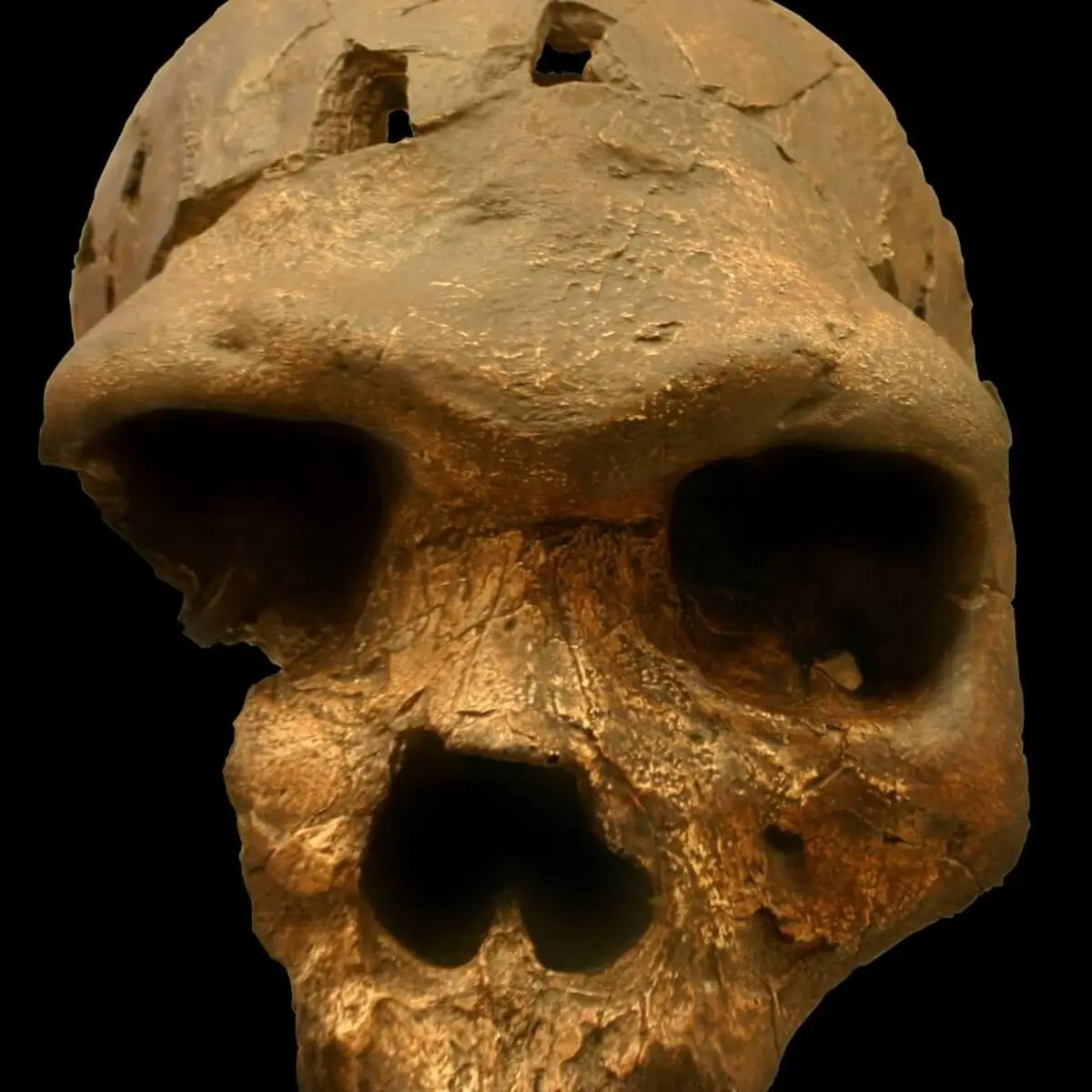 Ethiopia: The Cradle of Humanity and the Origins of Homo sapiens