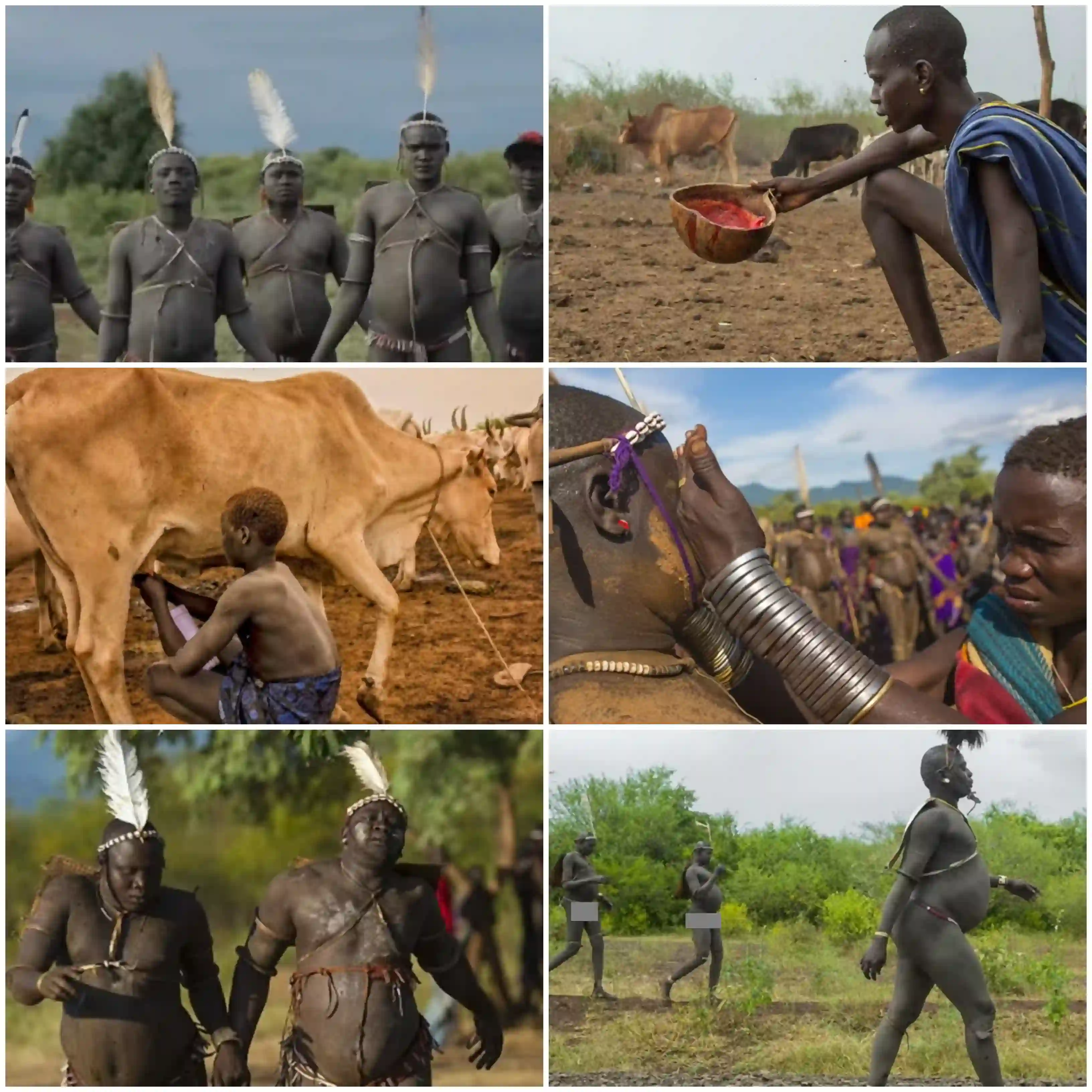 10 Fascinating Facts about the Bodi Tribe